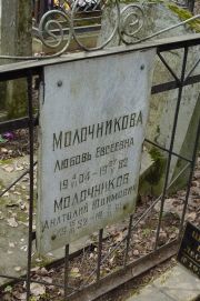 Молочникова Любовь Евсеевна, Москва, Востряковское кладбище